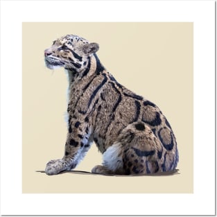 Clouded leopard Posters and Art